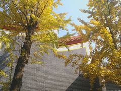 -南岳衡山风景名胜区-南岳大庙