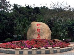 -野狸岛