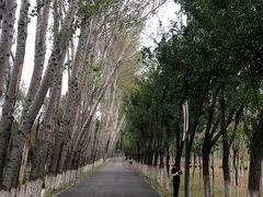 -东郊湿地公园