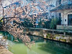 -广富林郊野公园