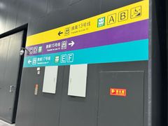 -望京西(地铁站)