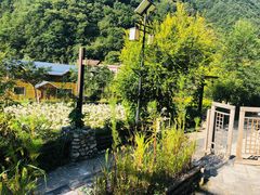 -牛背梁国家森林公园
