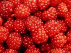 树莓-北京龙庆四季香农家饭庄·灶台鱼·碳烤虹鳟鱼(龙庆峡店)