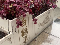 -白鹤梁水下博物馆