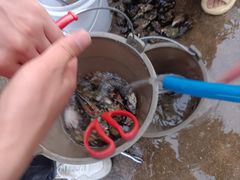 -硇洲岛旅游区