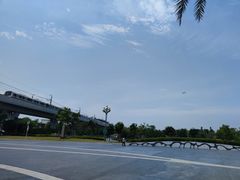 -宝安西湾红树林湿地公园