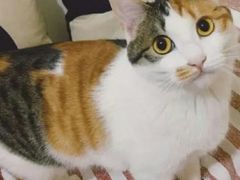 -康乐宝动物医院