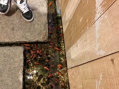 -邈墨茶馆(凤起路店)