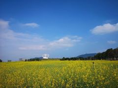 -光明小镇欢乐田园
