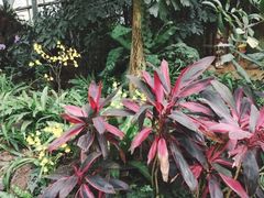 -南山植物园