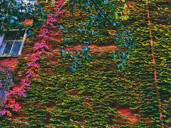 -斯多格书乡(北京大学畅春园店)