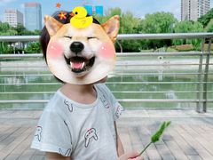 -九里河湿地公园