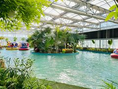 -南宫五洲植物乐园