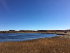 -塞罕坝国家级自然保护区