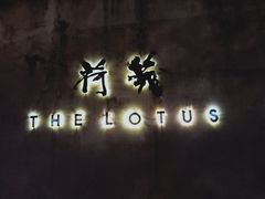 -几荷·恰似故人来(秀水广场店)
