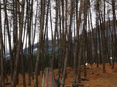 -硗碛藏寨·神木垒景区