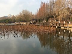 -前关湿地公园