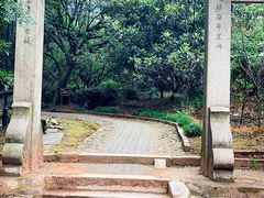 -雨花胜境