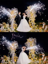 -金夫人婚纱摄影(华南店)