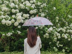 -尚贤河湿地