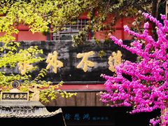 -青城山