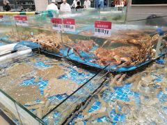 -阿毛饭店·宁波老字号(儿童公园旗舰店)