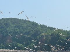 -棒棰岛宾馆景区