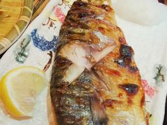 烤青花鱼-平成屋· Late Night 食堂(四川北路店)