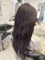 -镁连社·美联社