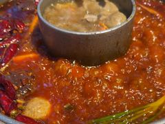-杨肥肠火锅大排档(火车站花园店)