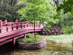-紫霞湖公园