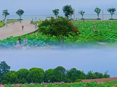 -滆湖低碳生态公园