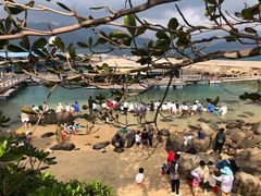 -海南分界洲岛旅游区