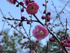 -无锡梅园公园
