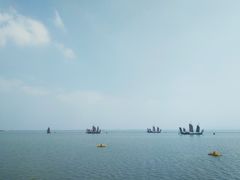 -贡湖湾湿地公园