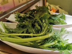 茼蒿-海底捞火锅(凯德广场店)