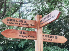 -上海崇明金茂凯悦酒店