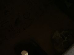 -纽斯桑拿会所(天山店)