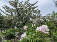 -江南大学(蠡湖校区)