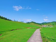-关山草原