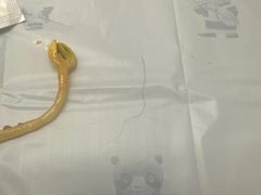 -初蓉丨遇见新川菜(亲贤街荣耀店)