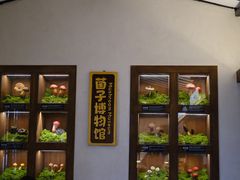 -菌自由丨野生菌火锅特色庭院餐厅(丽江古城店)