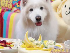 -Pantry's Best派悦坊蛋糕(世纪金源店)