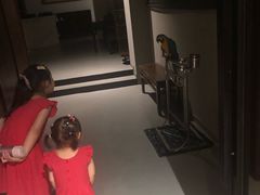 -禧宴Joyous Restaurant(禧园店)