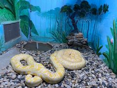 -石家庄市动物园