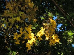 -北京金海湖景区