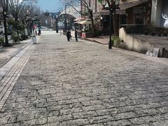 -四川省成都市彭州市白鹿镇