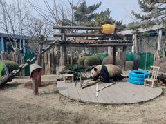 -大连森林动物园