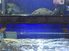 水产区-欢乐海岸美食联盟
