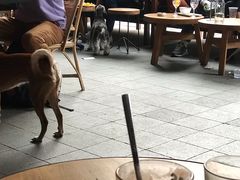 -Moka Bros 摩卡站(嘉华店)